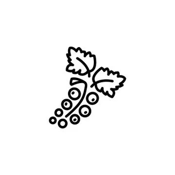 Web line icon. Currants black on white background Stock Illustration