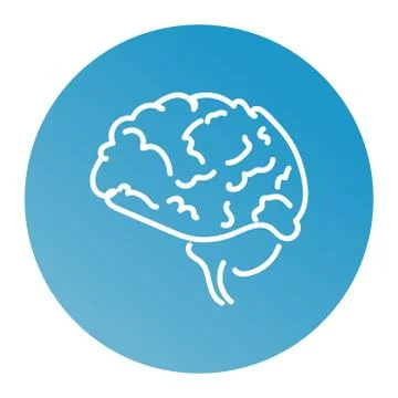 Web line icon. Human brain Stock Illustration