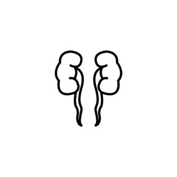 Web line icon. Kidneys black on white background Stock Illustration