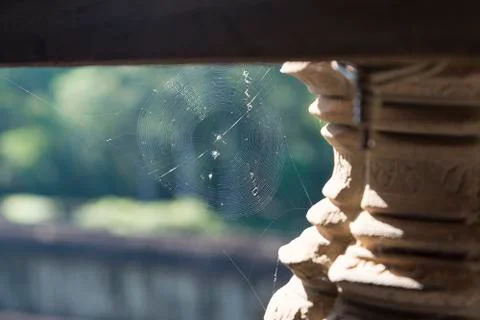 Web near the column. Stock Photos