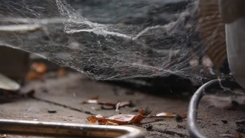 The Web In The Old Attic Sways From The Draft Stock Footage 119444465