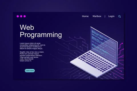 Web programming vector isometric illustrations. web programming concept progr Stock Illustration