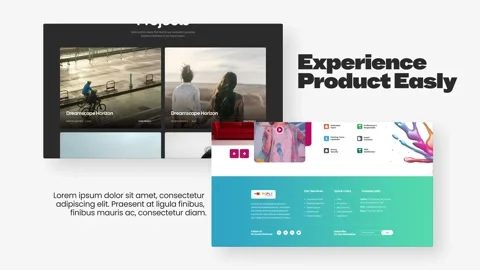 Web Promo Animation Stock After Effects