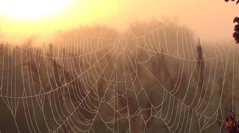 Web,  road 스톡 동영상 41364437