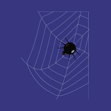 A web with a scary black spider 스톡 일러스트