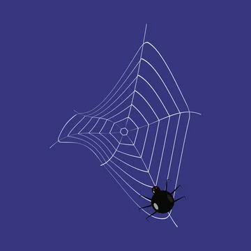 A web with a scary black spider Stock Illustration