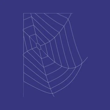 A web with a scary black spider Stock Illustration