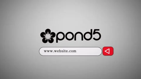 Web Search Text Type Business Internet Promo Logo  Reveal Opener Stock After Effects