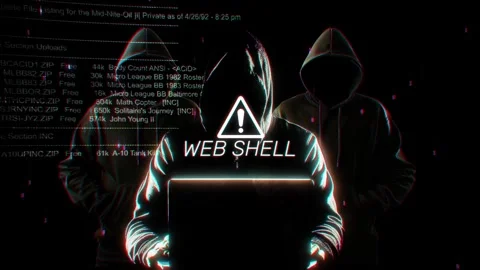 Web Shell words of hacking screen in technology Stock Footage 342800623