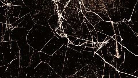 Web spider dark texture looped animated video Stock Footage 334639176