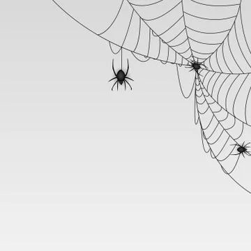 Web with spider on gray background. Vector Illustration イラスト素材