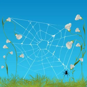 Web spider Illustrazione stock