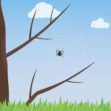 A web with a spider on a tree. The spider pulled a web on the tree. Stock Illustration