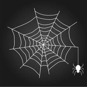 A web with a spider. White web on a black background. Stock Illustration