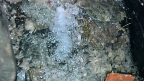 Web stretched over rushing water Stock Footage 77862809