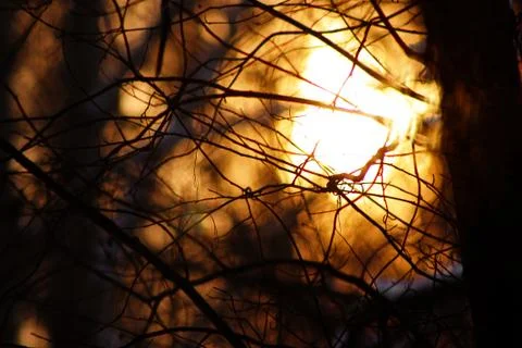 The web of sunset Stock Photos