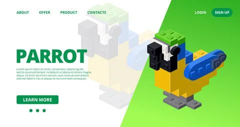 Web template with a parrot. Vector イラスト素材