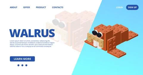 Web template with a walrus. Vector Stock-Illustration