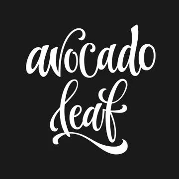 WebAvocado leaf - white colored hand drawn spice label. Stock Illustration