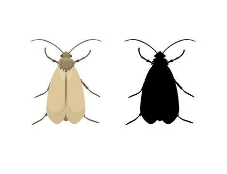 Webbing clothes moth and its silhouette isolated on white background Stock Illustration