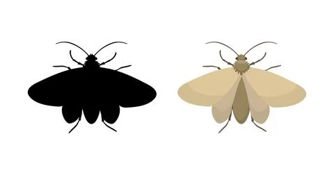 Webbing clothes moth and its silhouette isolated on white background Stock Illustration