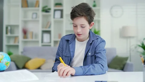 Webcam vew Schoolboy learn online remotely lecture by video call Distance learn Stock Footage 238632513