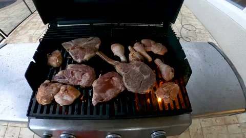 Weber Grill Stock Footage 162934274