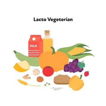 WebFood plate example concept. Vector flat illustration. Lacto vegetarian die Stock Illustration