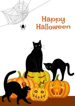 Webs, black cat and pumpkins Stock Illustration