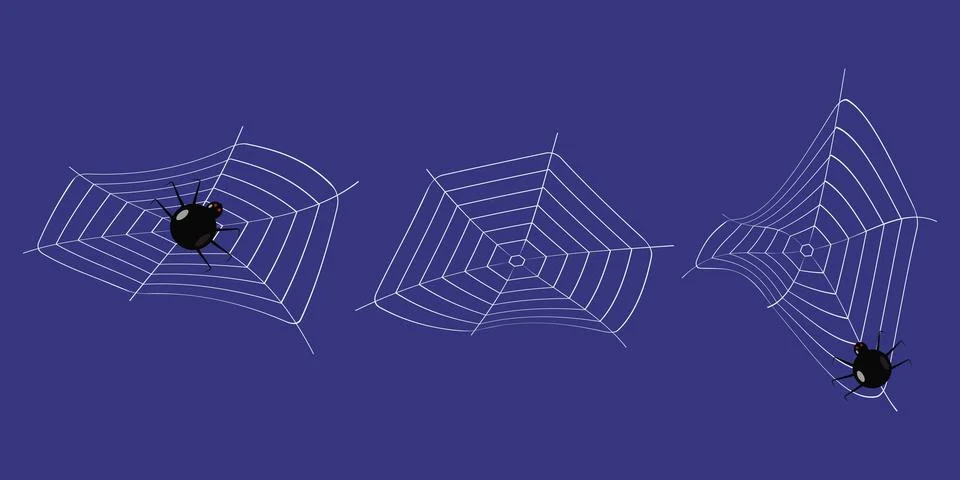 Webs with spiders on a dark background Illustrazione stock
