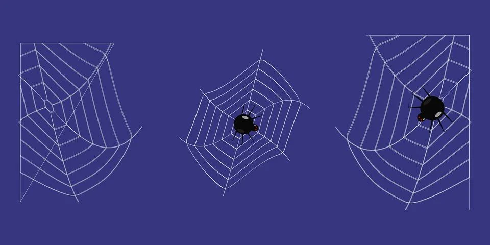 Webs with spiders on a dark background 스톡 일러스트