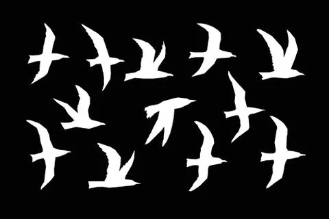 WebSea gulls vector silhouette set Stock Illustration