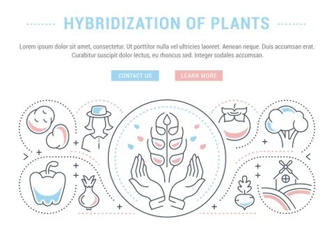 Website Banner and Landing Page of Hybridization of Plants. Free Stock Illustration