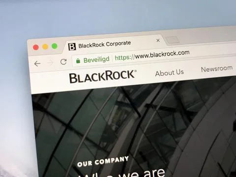 Website of BlackRock Foto stock