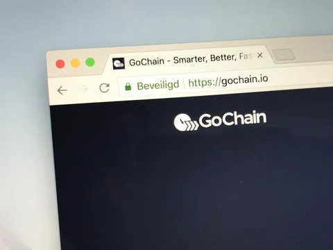 Website of GoChain Foto stock