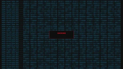 Website Hacker Screen Blue Version 4 K Video stock 167452362