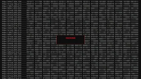 Website Hacker Screen White Version Stock Footage 167452363