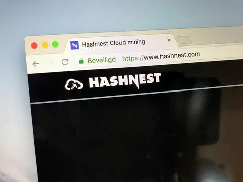 Website of Hashnest Stock Photos
