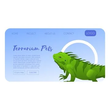 Website page featuring a green iguana, online store, exotic animals. Stock Illustration