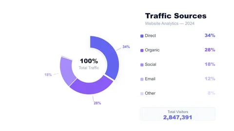 Website Traffic Sources Analytics Infographic with 2024 Statistics Video stock 335474231