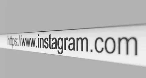 Website url instagram address www.instagram.com 스톡 일러스트