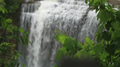 Webster Falls (3) video Stock Footage 724671