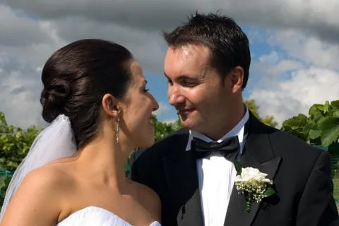 Wedded Bliss Stock Photos