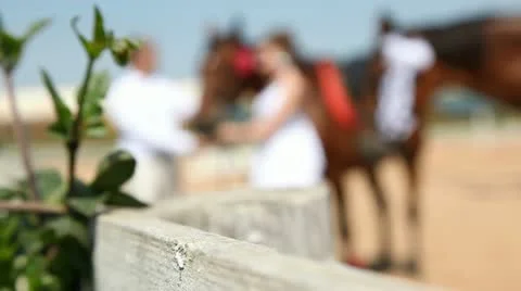 Weddind and horse Stock Footage 12689698
