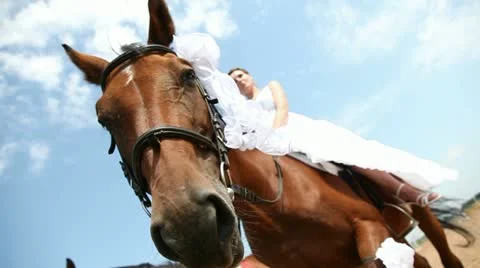 Weddind and horse Stock Footage 12690001