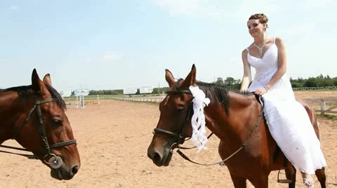 Weddind and horse Stock Footage 12691047