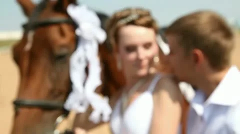 Weddind and horse Stock Footage 12692580