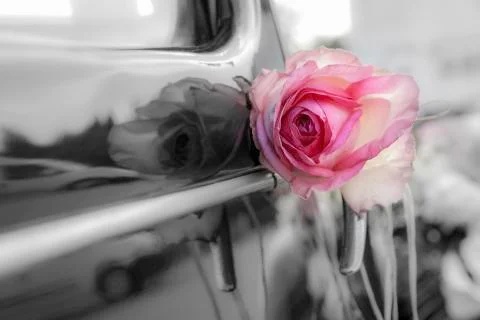 Weddind Stock Photos