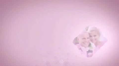 Wedding 1 Stock After Effects