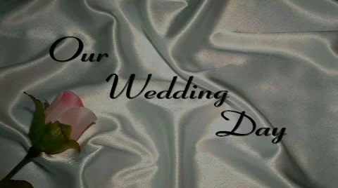 Wedding #3 Stock Footage 475285